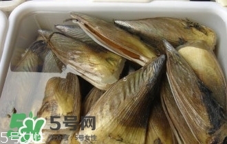 青口貝如何清洗？青口貝怎么處理