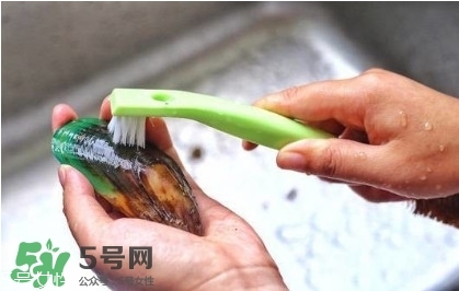 青口貝如何清洗？青口貝怎么處理