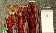 蝦子怎么吃？蝦子的吃法