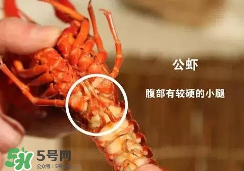 蝦子怎么吃？蝦子的吃法