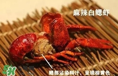 蝦子怎么吃？蝦子的吃法