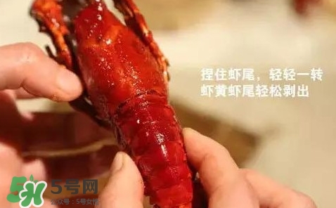 蝦子怎么吃？蝦子的吃法