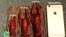 蝦子怎么吃？蝦子的吃法