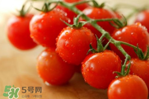 小番茄怎么洗？小番茄怎么清洗