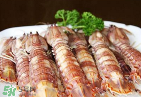 蝦爬子是寒性的嗎？蝦爬子是熱性的還是寒性的？