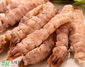 蝦爬子是皮皮蝦嗎？皮皮蝦和蝦爬子的區(qū)別