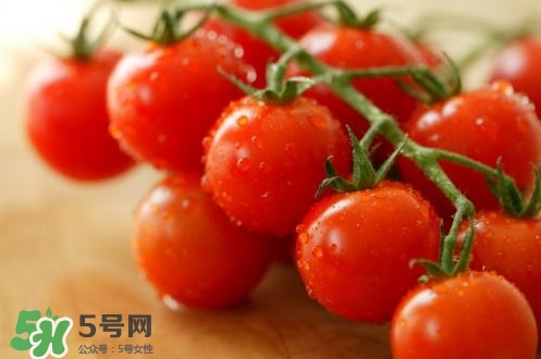 小番茄是轉基因的嗎？小番茄是不是轉基因食品