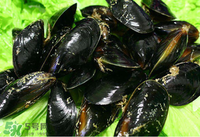 哪些人不適合吃淡菜？淡菜什么人不能吃？