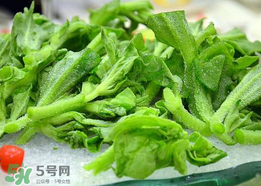 冰菜孕婦能吃嗎？孕婦能不能吃冰菜？