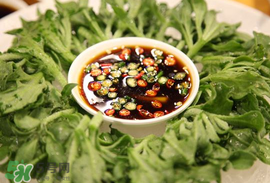 冰菜怎么涼拌？冰菜可以用沙拉醬拌嗎？