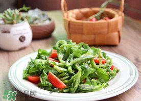 冰菜怎么涼拌？冰菜可以用沙拉醬拌嗎？