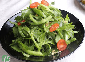 冰菜怎么涼拌？冰菜可以用沙拉醬拌嗎？