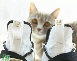 nike lebron 14怎么樣？耐克lebron 14測評(píng)
