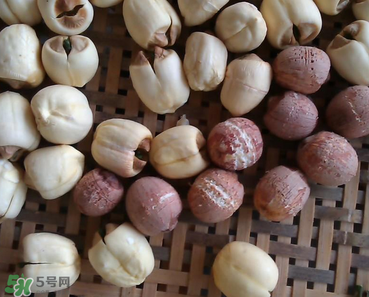 芡實不能和什么一起吃？芡實不能與什么同食？