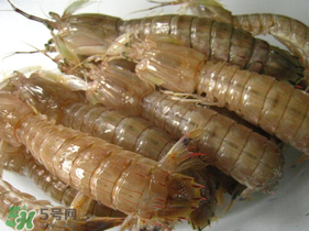 瀨尿蝦是皮皮蝦嗎？瀨尿蝦和皮皮蝦的區(qū)別