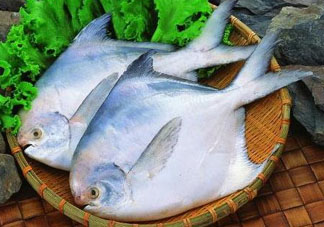 蠶豆和魚能一起吃嗎？蠶豆和魚吃相克嗎？