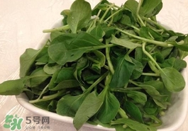 雞毛菜怎么做？雞毛菜的做法