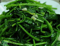 蠶豆和菠菜能一起吃嗎？蠶豆和菠菜能同吃嗎？