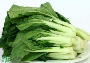 雞毛菜怎么做？雞毛菜的做法