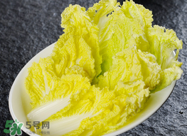 蠶豆和白菜能一起吃嗎？白菜和蠶豆能在一起吃嗎？