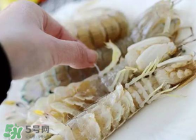 蝦爬子怎么扒皮？蝦爬子怎么剝殼？
