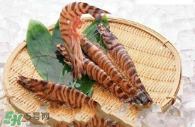 蝦爬子怎么扒皮？蝦爬子怎么剝殼？