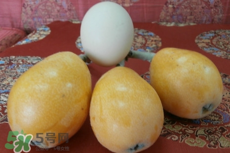 枇杷是什么季節(jié)的水果？枇杷什么季節(jié)吃