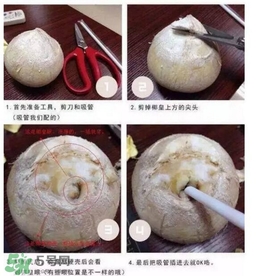 椰子怎么打開？椰子殼怎樣打開