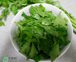 芹菜葉能吃嗎？芹菜葉可以吃嗎