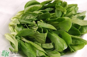 雞毛菜怎么做？雞毛菜的做法