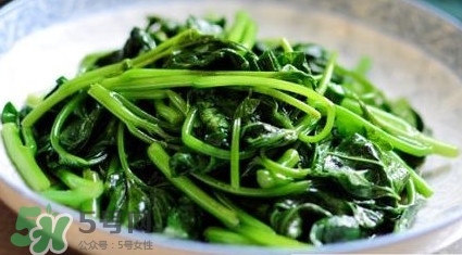 苕尖是發(fā)物嗎？苕尖是不是發(fā)物