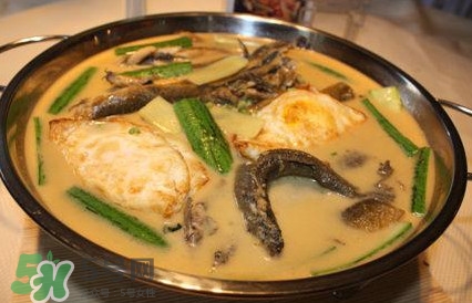 泥鰍是魚嗎？泥鰍是海鮮嗎