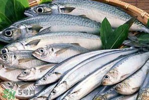 2017鲅魚多少錢一斤？鲅魚多少錢一斤2017？