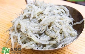 銀魚是面條魚嗎？面條魚和銀魚的區(qū)別