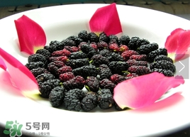 覆盆子是桑葚嗎？覆盆子和桑葚的區(qū)別