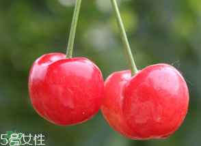 櫻桃籽有毒嗎？櫻桃籽能吃嗎？
