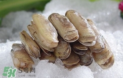 蟶子死了是什么樣子？死蟶子是什么樣子