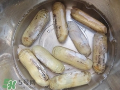 怎么樣讓蟶子吐沙？如何讓蟶子吐沙