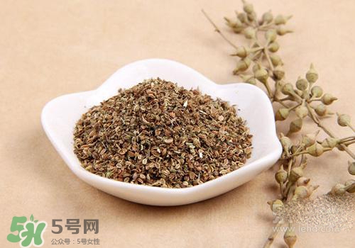 吃中藥可以吃魚？吃中藥吃魚會怎么樣？