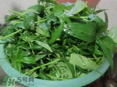 番薯葉怎么種？怎樣種番薯葉