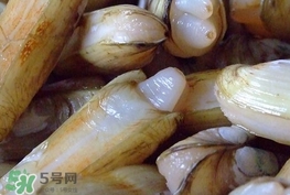 蟶子是海鮮嗎？蟶子是海鮮還是河鮮