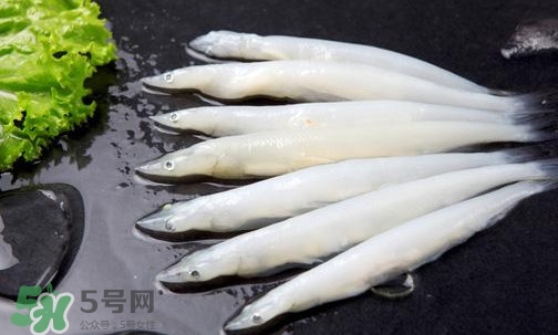 面條魚(yú)有刺嗎？面條魚(yú)有鱗嗎