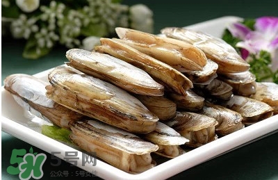 蟶子是海鮮嗎？蟶子是海鮮還是河鮮