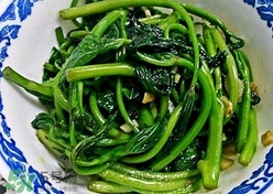 苕尖怎么摘？苕尖怎么擇
