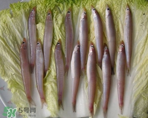 青島面條魚是什么魚？青島面條魚叫什么