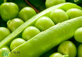 豌豆能放在冰箱嗎？豌豆放冰箱怎么保存？