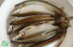 白條魚怎么做好吃？白條魚怎么吃好吃