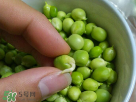 新鮮豌豆發(fā)芽了能吃嗎？豌豆發(fā)芽了還能吃嗎？