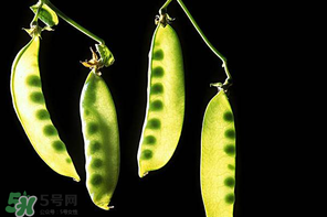 嫩豌豆能生吃嗎？為什么嫩豌豆可以生吃？
