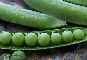 剝好的豌豆怎么保存？剝好的豌豆米怎么保存？